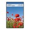 MCS Large Format Matte Poster Frame - 24" x 36" x 5/32", Black